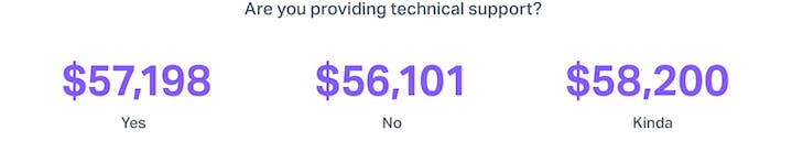 Are you providing technical support?